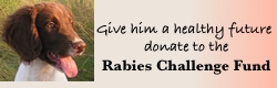 Rabies Challenge Fund