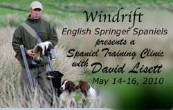 Spaniel Training Clinic
