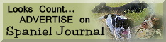 Advertise on Spaniel Journal contact Loretta Baughan